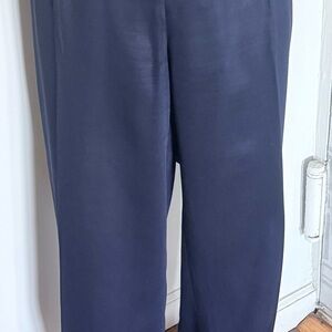Banana Republic Wide-Leg Pants in Navy with Wide Side Stripe